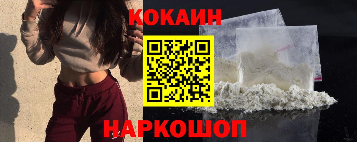 ГАШ Камышин