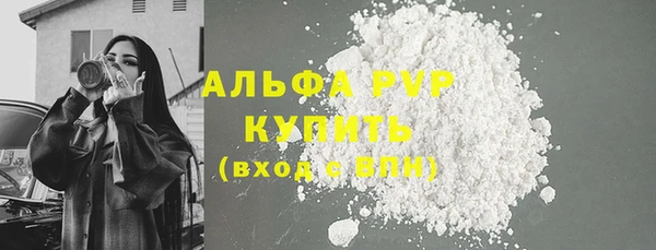 стафф Касимов