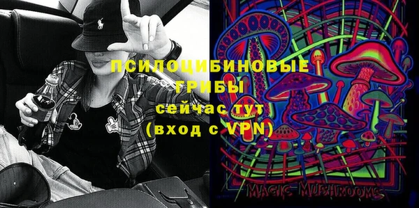 амф Карпинск