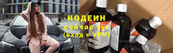 стафф Касимов