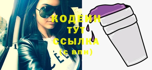 стафф Касимов