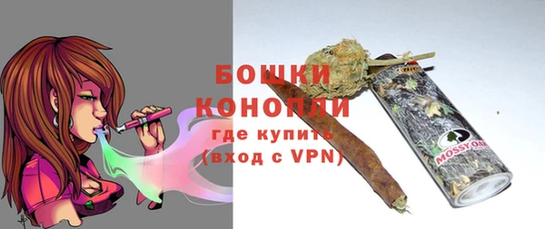 сатива Козловка