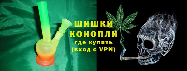 стафф Касимов