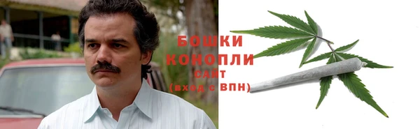 амф Карпинск