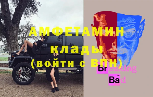 стафф Касимов