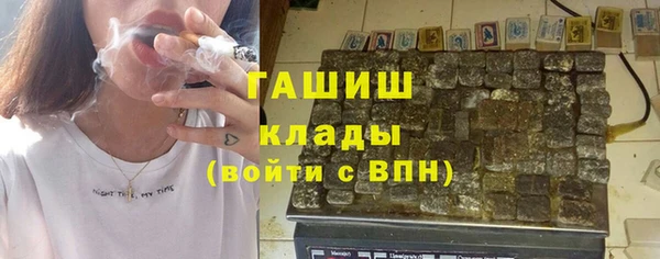стафф Касимов
