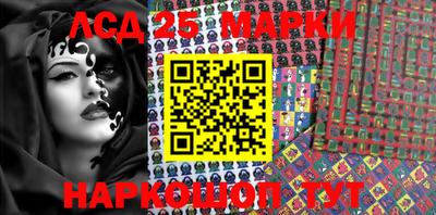 сатива Будённовск