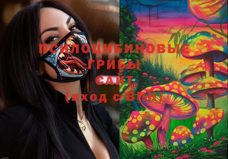 Галлюциногенные грибы ЛСД  где купить наркотик  блэк спрут зеркало  Камышин 