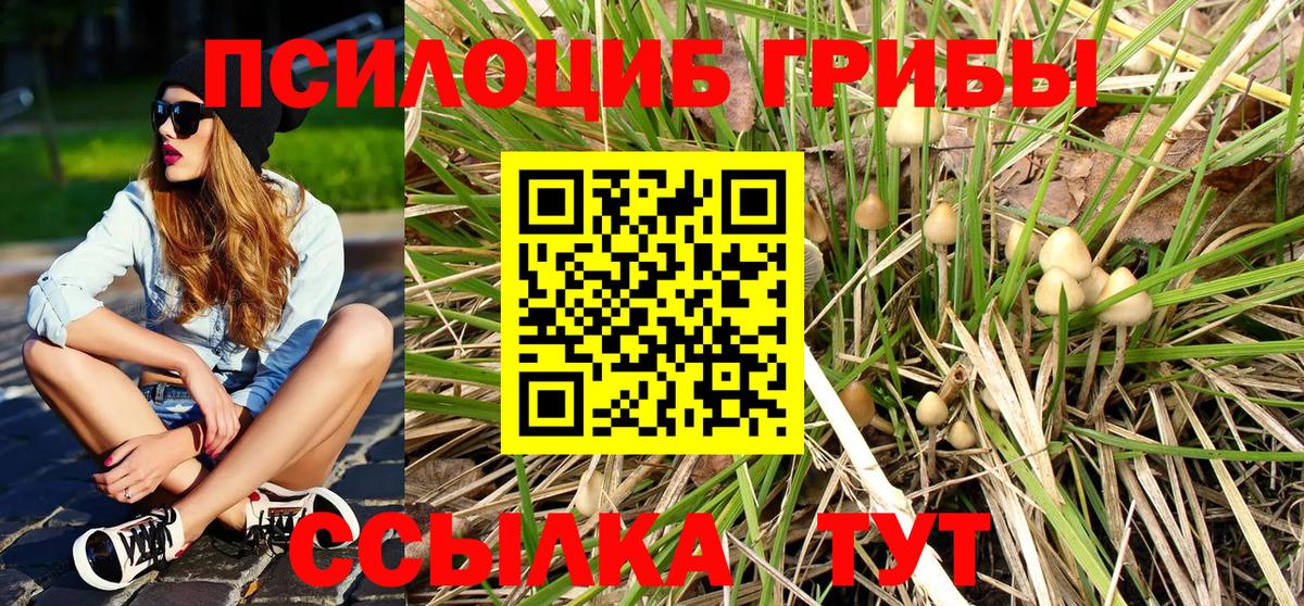 Галлюциногенные грибы Psilocybine cubensis  Галлюциногенные грибы Magic Shrooms  Камышин 