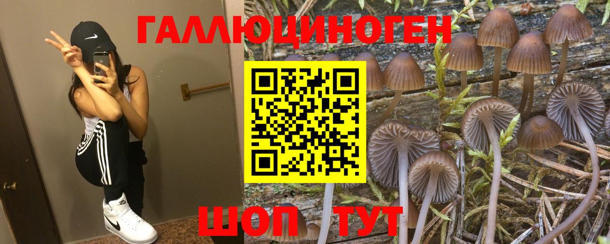 Галлюциногенные грибы GOLDEN TEACHER Камышин