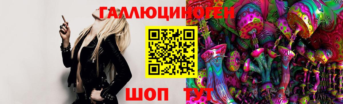 Камышин  Галлюциногенные грибы Psilocybe  Вход с VPN 