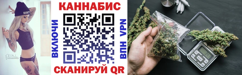 Бошки марихуана сатива  дарнет шоп  hydra зеркало  Камышин 