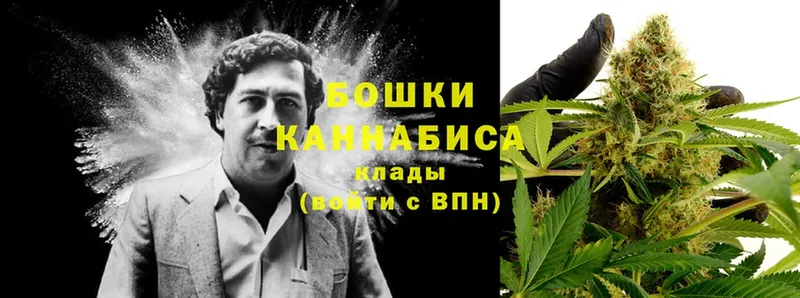 где купить наркоту  Камышин  МАРИХУАНА LSD WEED 